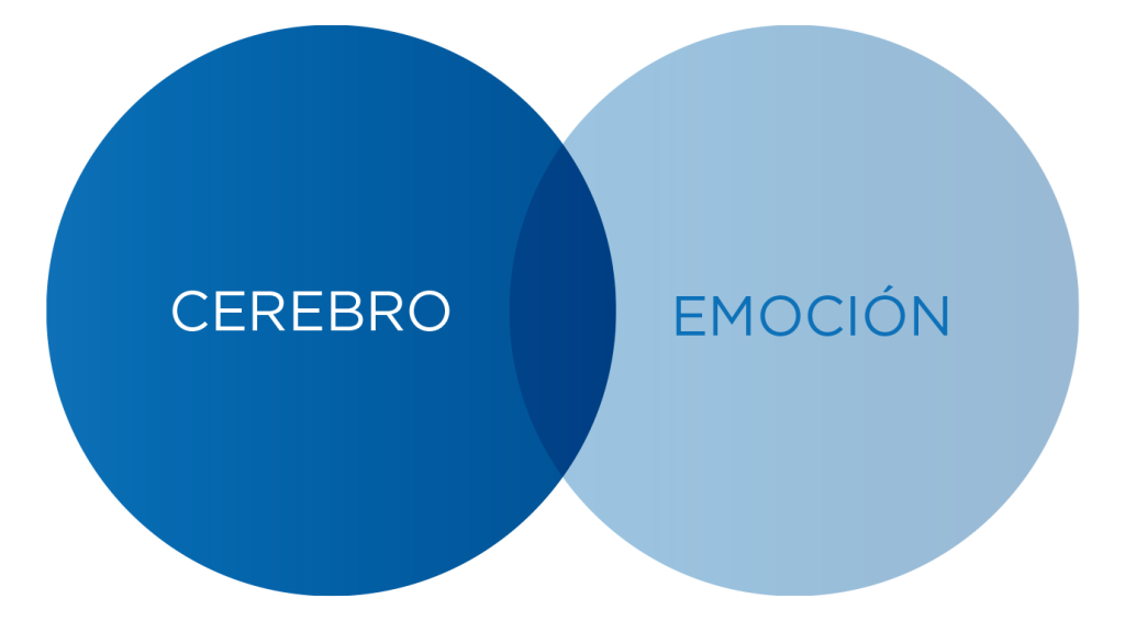 cerebro y emocion cerebro y emocion